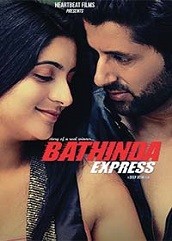 Bathinda Express (2016)