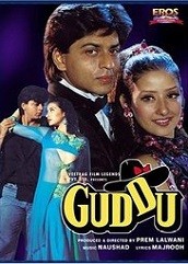 Guddu (1995)