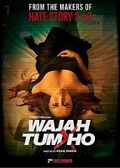 Wajah Tum Ho (2016)