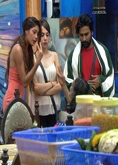 Bigg Boss 10 2nd December (2016)