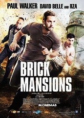 Brick Mansions Hindi Dubbed