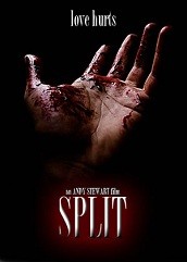 Split Hindi Dubbed