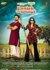 Punjab Nahi Jaungi (2017)