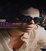 Dim the Fluorescents (2018)