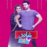 Shadi Ka Panga (2018)