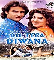 Dil Tera Diwana (1996)