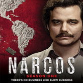 Narcos (2015) Season 1 All Episodes Hindi Dubbed