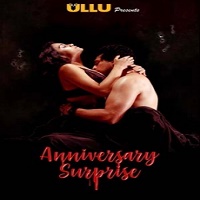 Anniversary Surprise (2019) Hindi Season 1 Complete