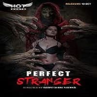 Perfect Stranger (2020)