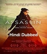 The Assassin 2015 Hindi Dubbed