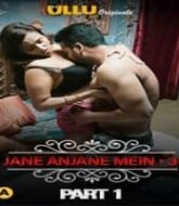 Charmsukh: Jane Anjane Mein 3 (Part 1)