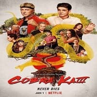 Cobra Kai Season 3 Hindi Dubbed