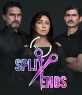 Split Ends (2020) Hindi Season 1