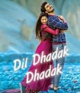 Dil Dhadak Dhadak 2021 Hindi Dubbed