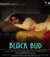 Black Bud (2021)