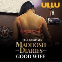 Madhosh Diaries (Good Wife)