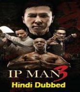 Ip Man 3 Hindi Dubbed