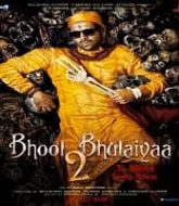 Bhool Bhulaiyaa 2 (2022)