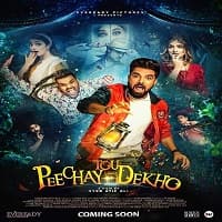 Peechay Tou Dekho (2022)