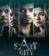 Salt City (2022) Hindi Season 1