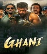 Ghani Hindi Dubbed