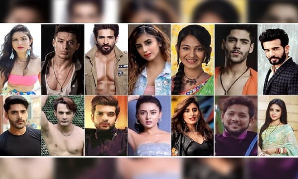 Cast Bigg Boss 16