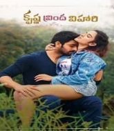 Krishna Vrinda Vihari Hindi Dubbed