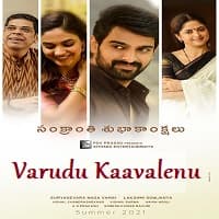 Varudu Kaavalenu Hindi Dubbed