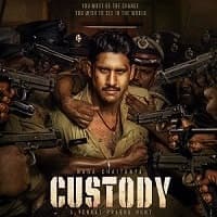 Custody (2023) Hindi Dubbed