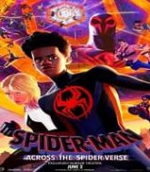 Spider-Man Across the Spider-Verse (2023) Hindi Dubbed