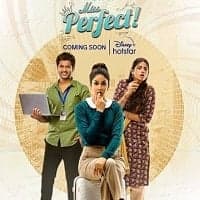 Miss Perfect (2024) Hindi Season 1