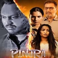 Pinjra (2025)