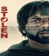 Stolen (2025)